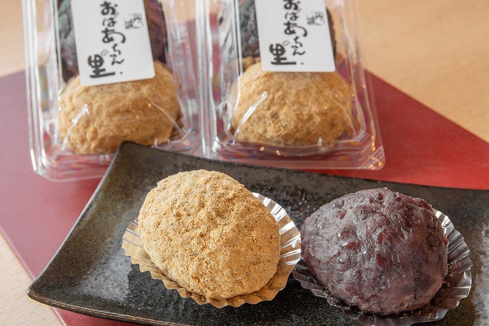 道の駅 丹波 おばあちゃんの里