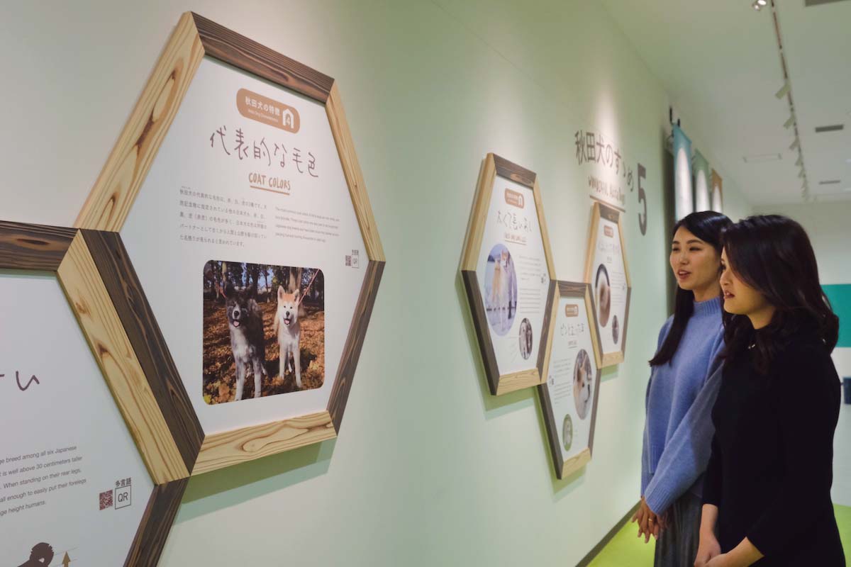 秋田犬ミュージアムではパネル展示が