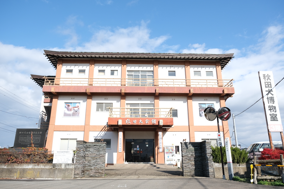 犬種団体が管理する日本で唯一の犬の博物館