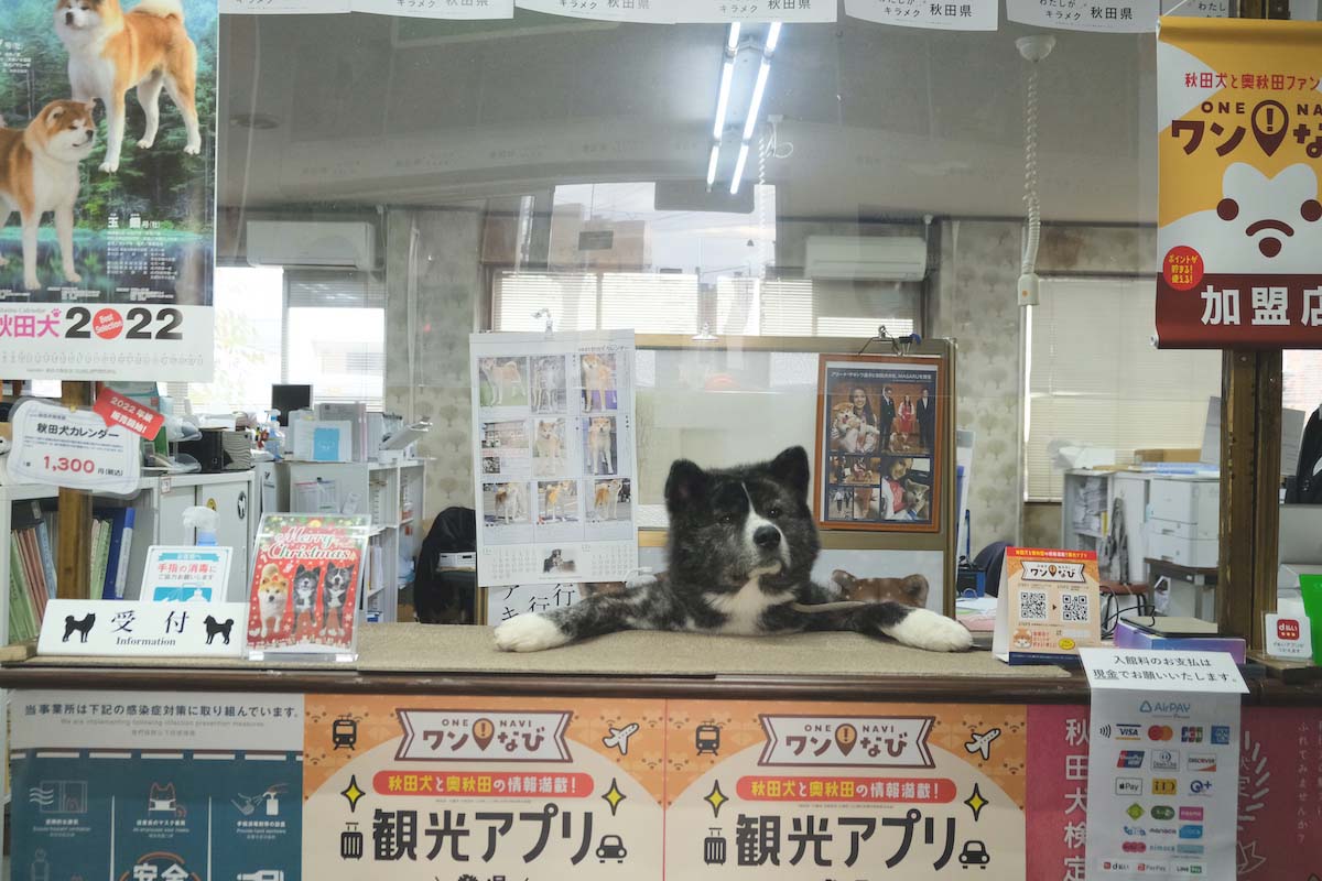 昴（すばる）がお出迎えしてくれる