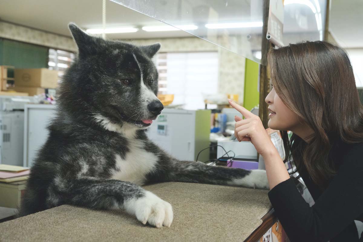 お客さん対応をする昴