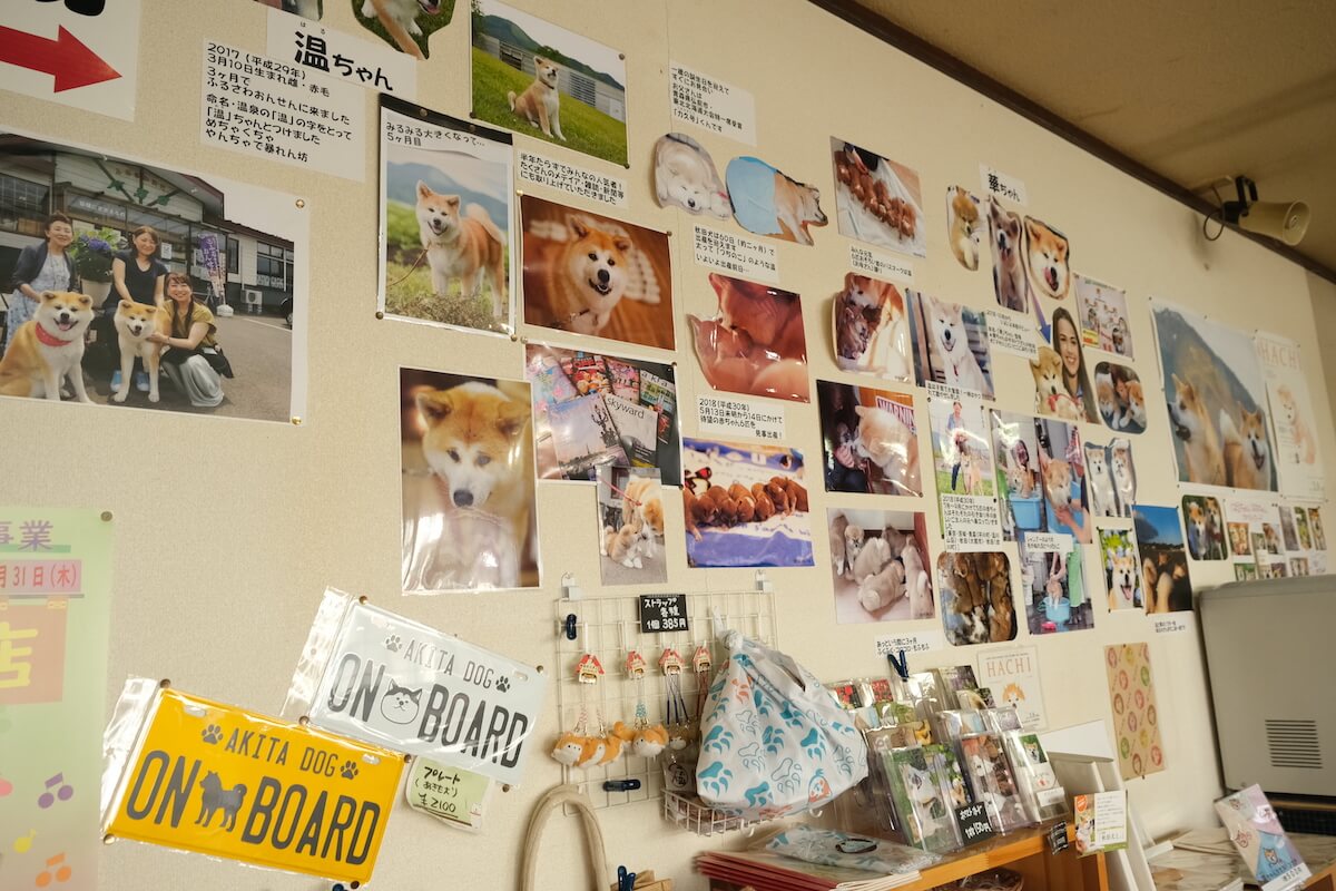 写真コーナーとお土産コーナー