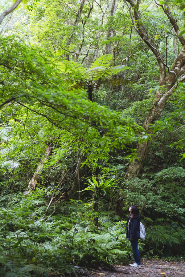 あああああああ