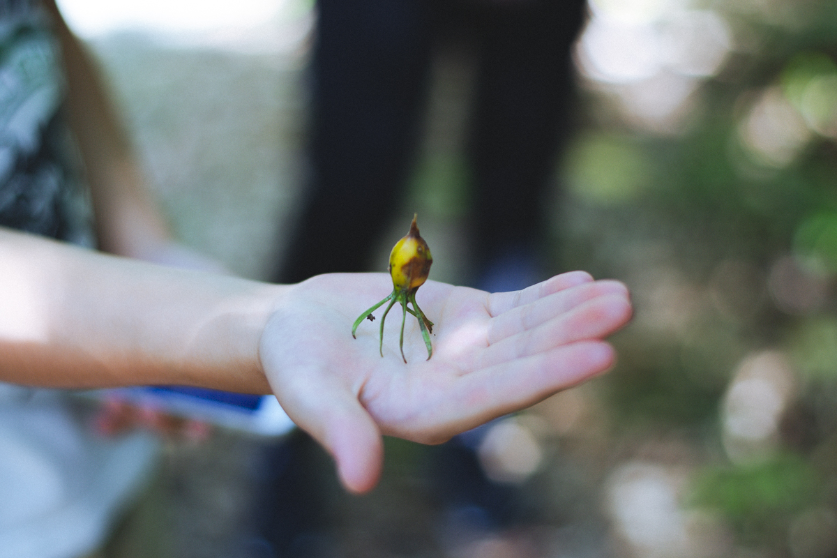 あああああああ