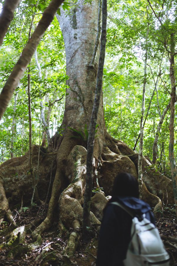 ああああああああ