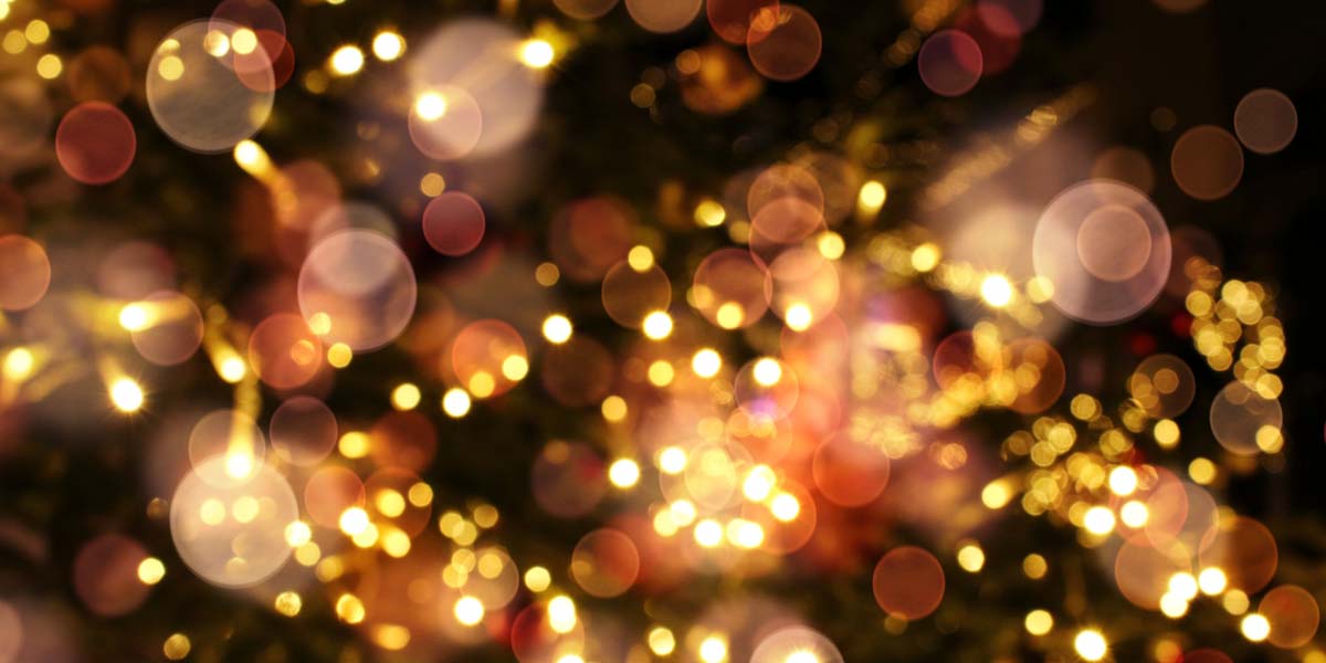 お台場・豊洲のイルミネーション特集2025-2026｜クリスマスにもおすすめ