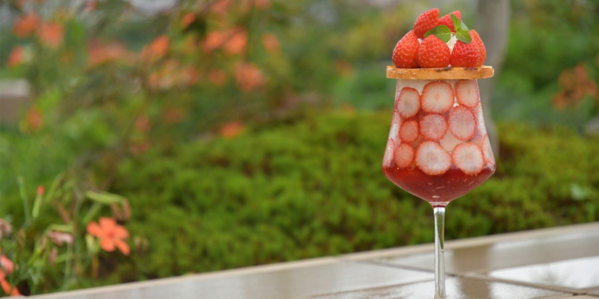 新宿から約90分で冬を満喫！山梨県笛吹市・石和温泉（いさわおんせん）、温泉、ワイン、イルミを楽しもう