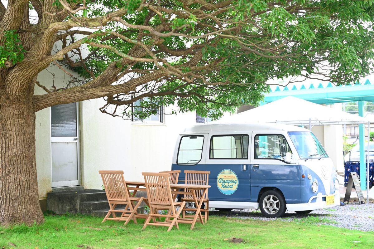 樹齢約100の大木