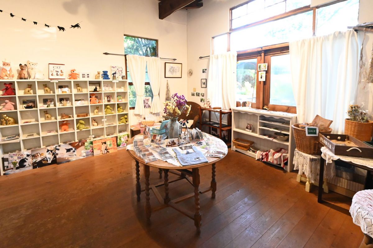 猫ちゃんルーム