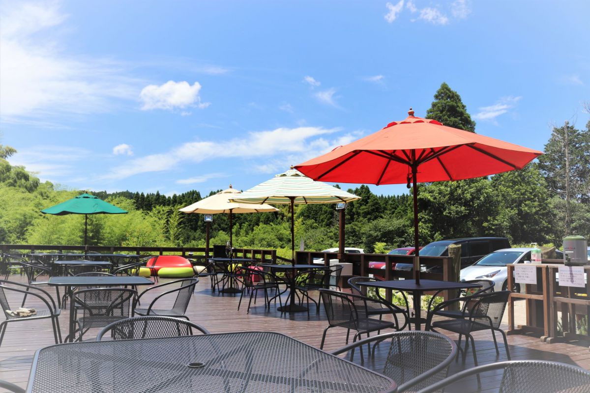 隠れ家カフェ「Cafe NIGO」の開放感満点の大型テラスで絶品ピザを（千葉県・いすみ市）