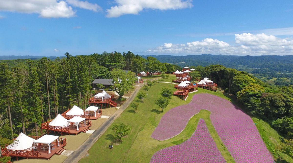 グランピングエリア全景