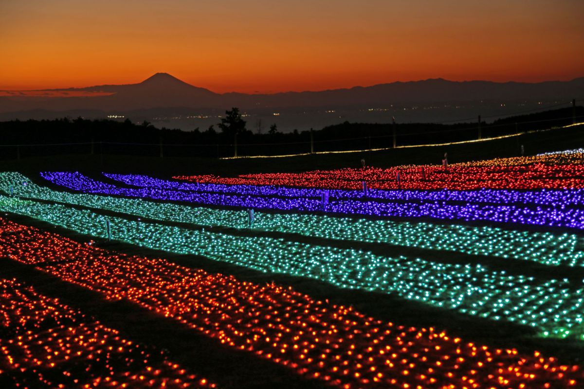 イルミネーション2021-2022「光の花園」