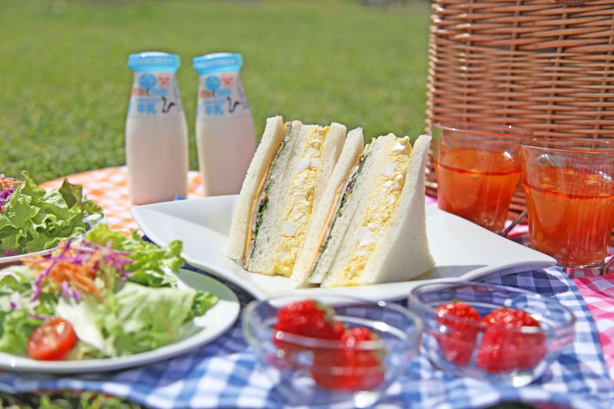 朝食の「モーニングボックス」