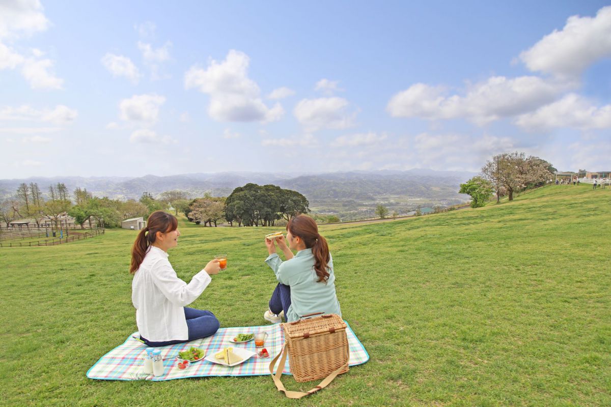 朝食はピクニックスタイルで