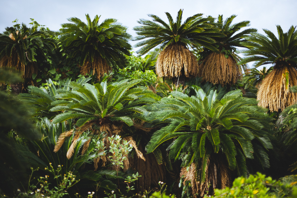 ああああああああああ