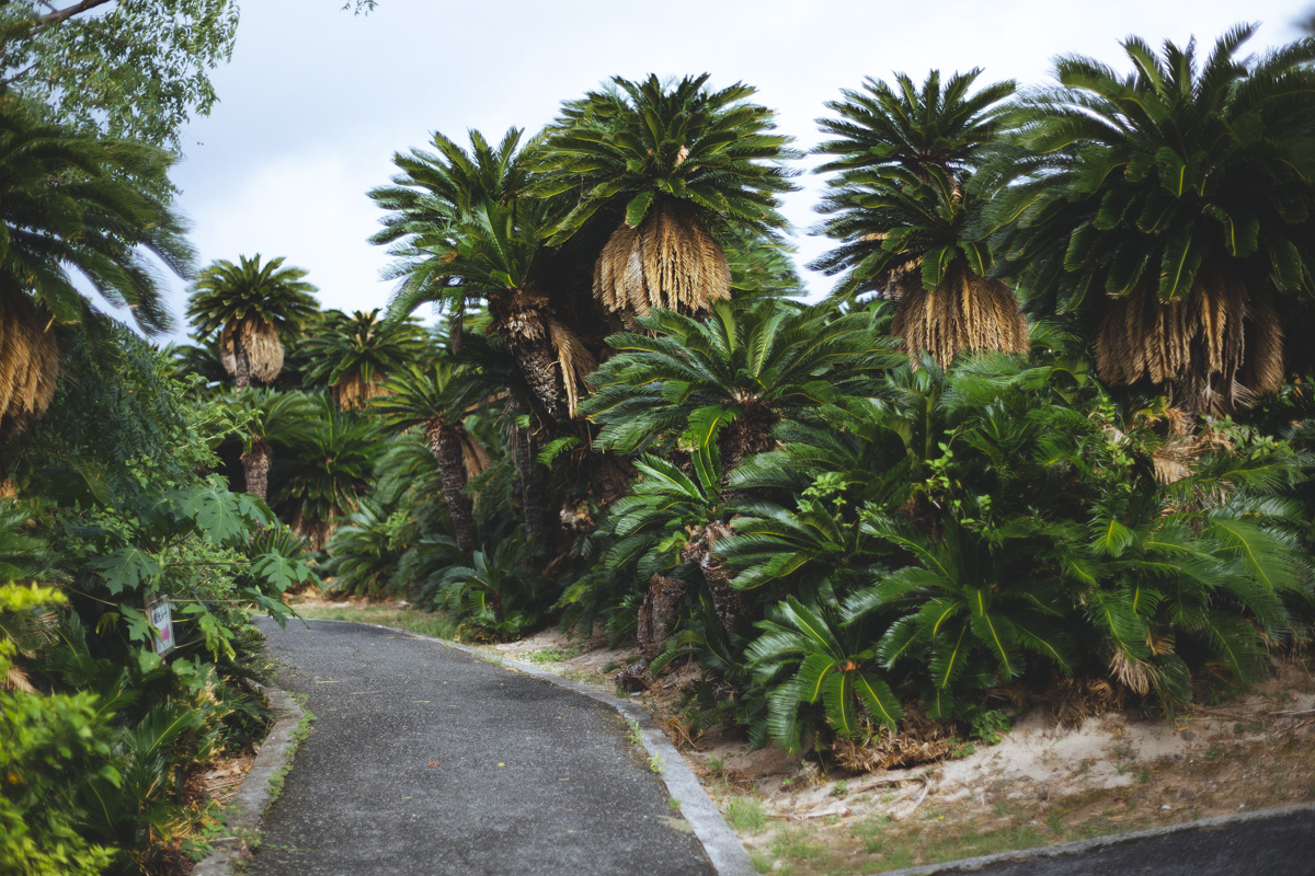 ああああああああ