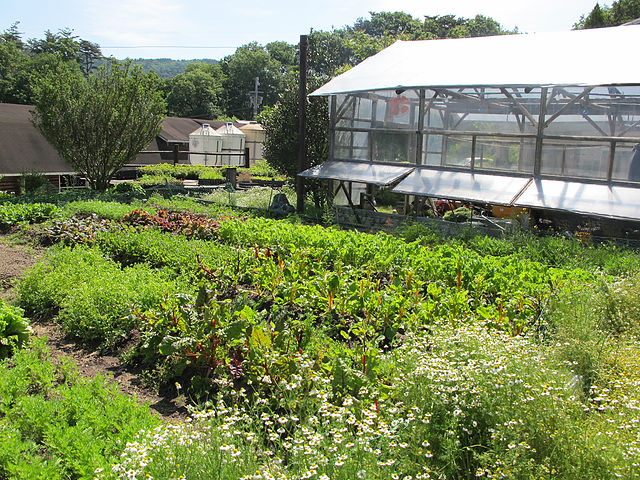 弓削牧場 YUGE FARM