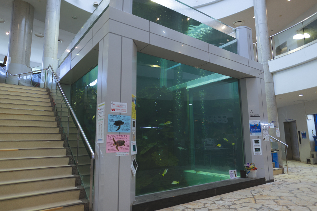 館内中央の大水槽