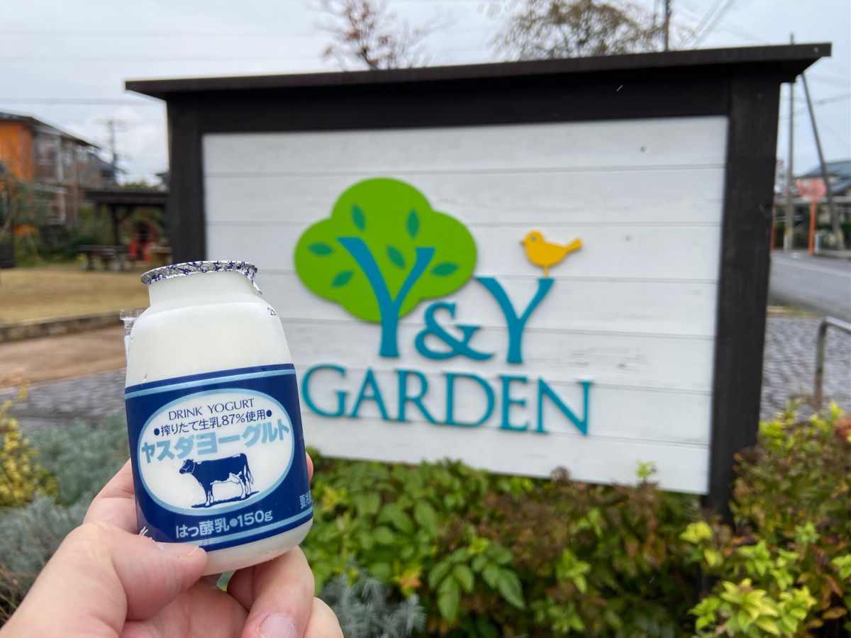 阿賀野市産の牛乳を使って毎日ヨーグルトが生産されている