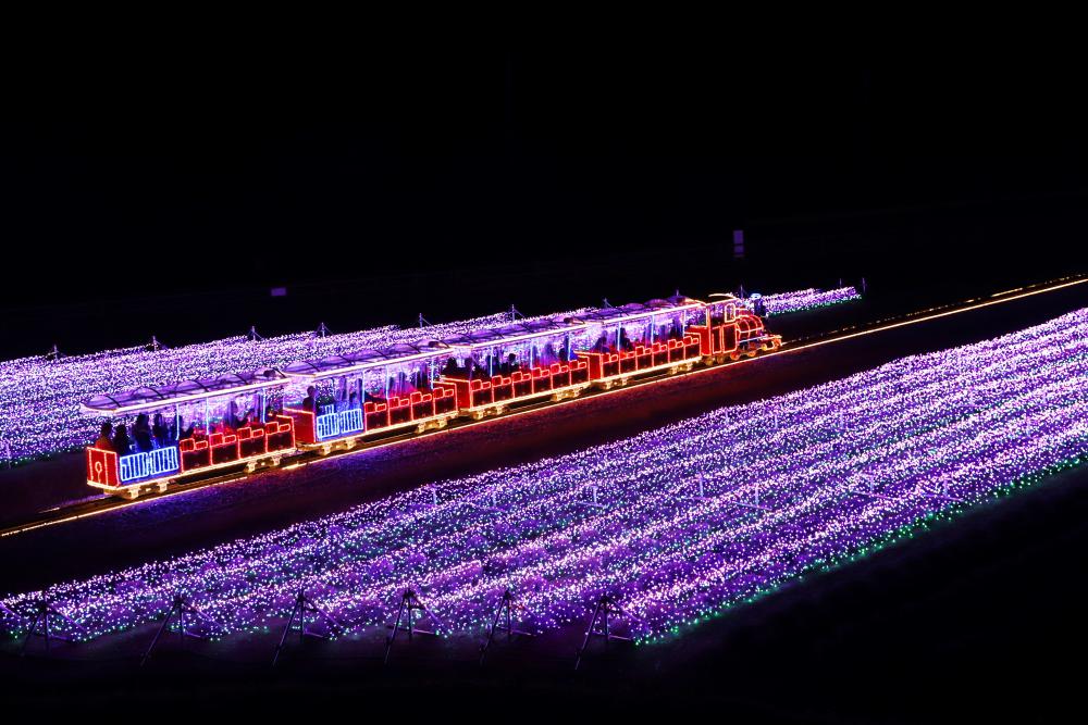 ローザンベリー多和田