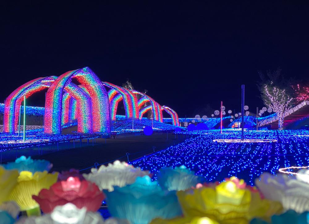 ローザンベリー多和田