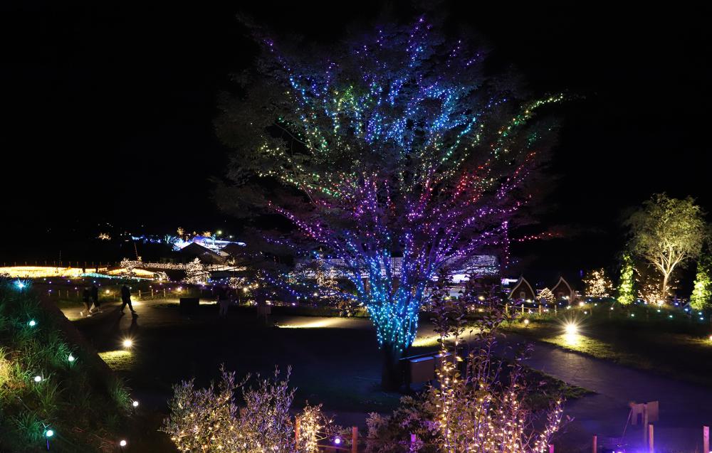 ローザンベリー多和田