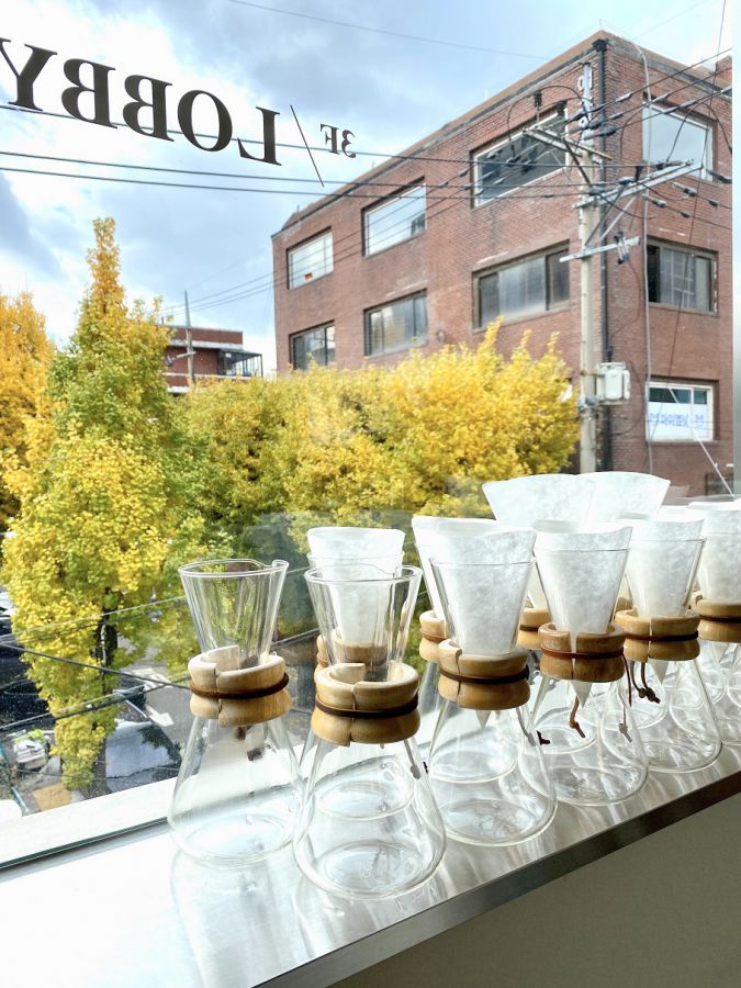 特に秋のイチョウの景色は圧巻。