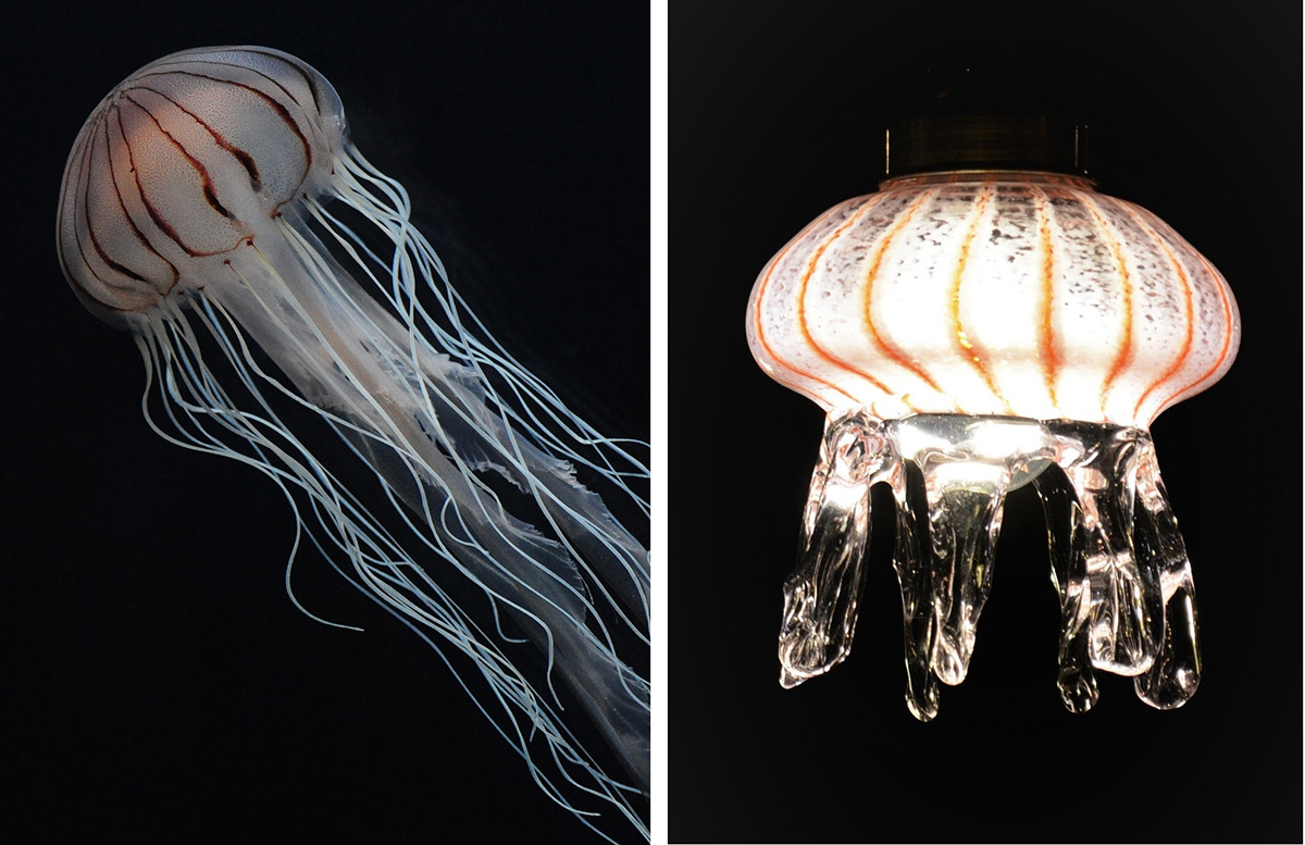 クラゲのランプで心温もる。「京都水族館」で「ふゆ恋すいぞくかん」が始まります