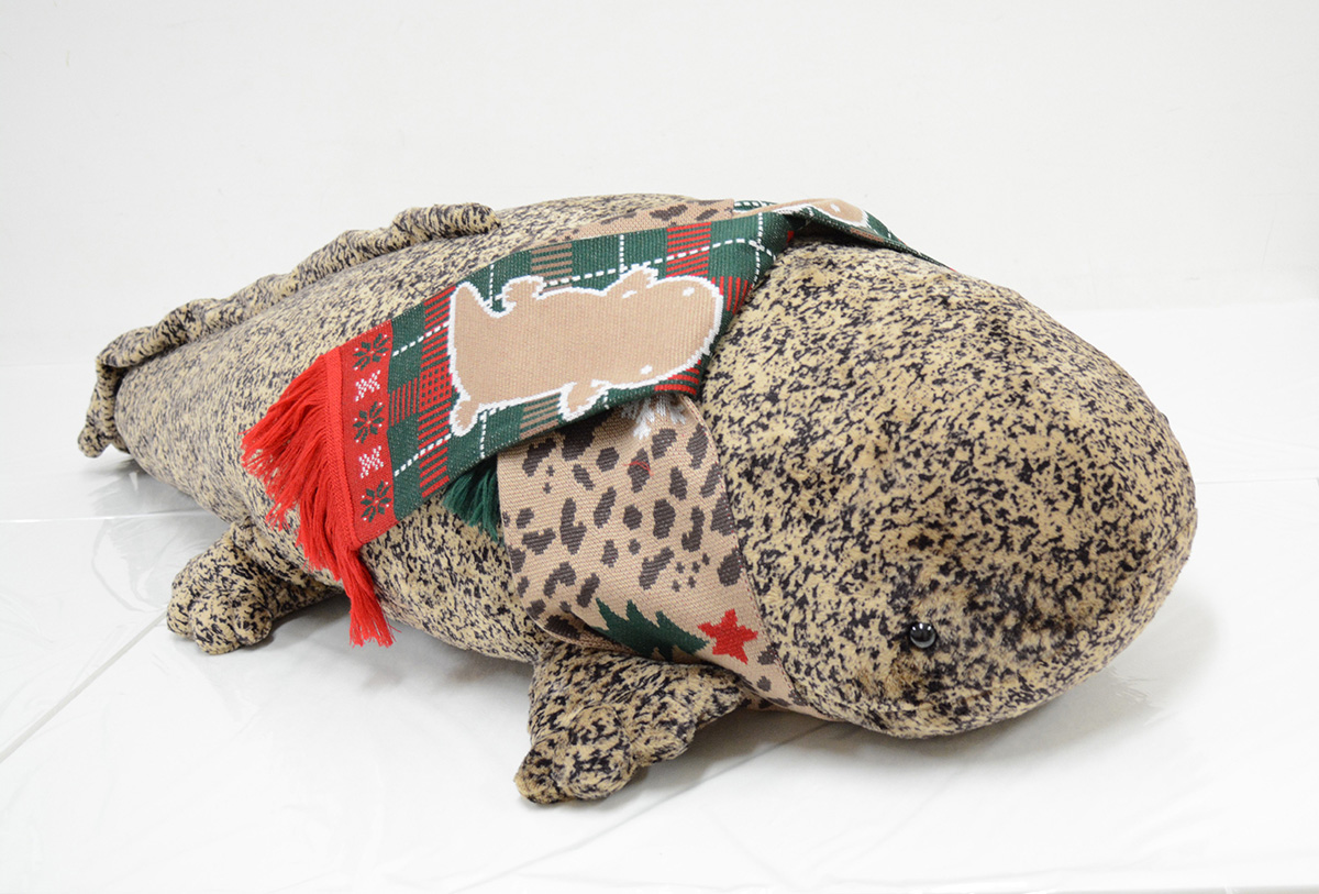 クラゲのランプで心温もる。「京都水族館」で「ふゆ恋すいぞくかん」が始まります