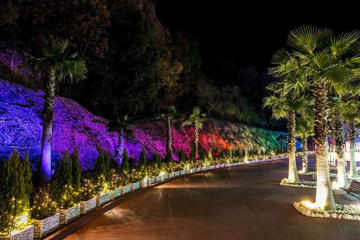 関西トップクラスの美しさ！「ネスタリゾート神戸」の大自然を埋め尽くすイルミに注目