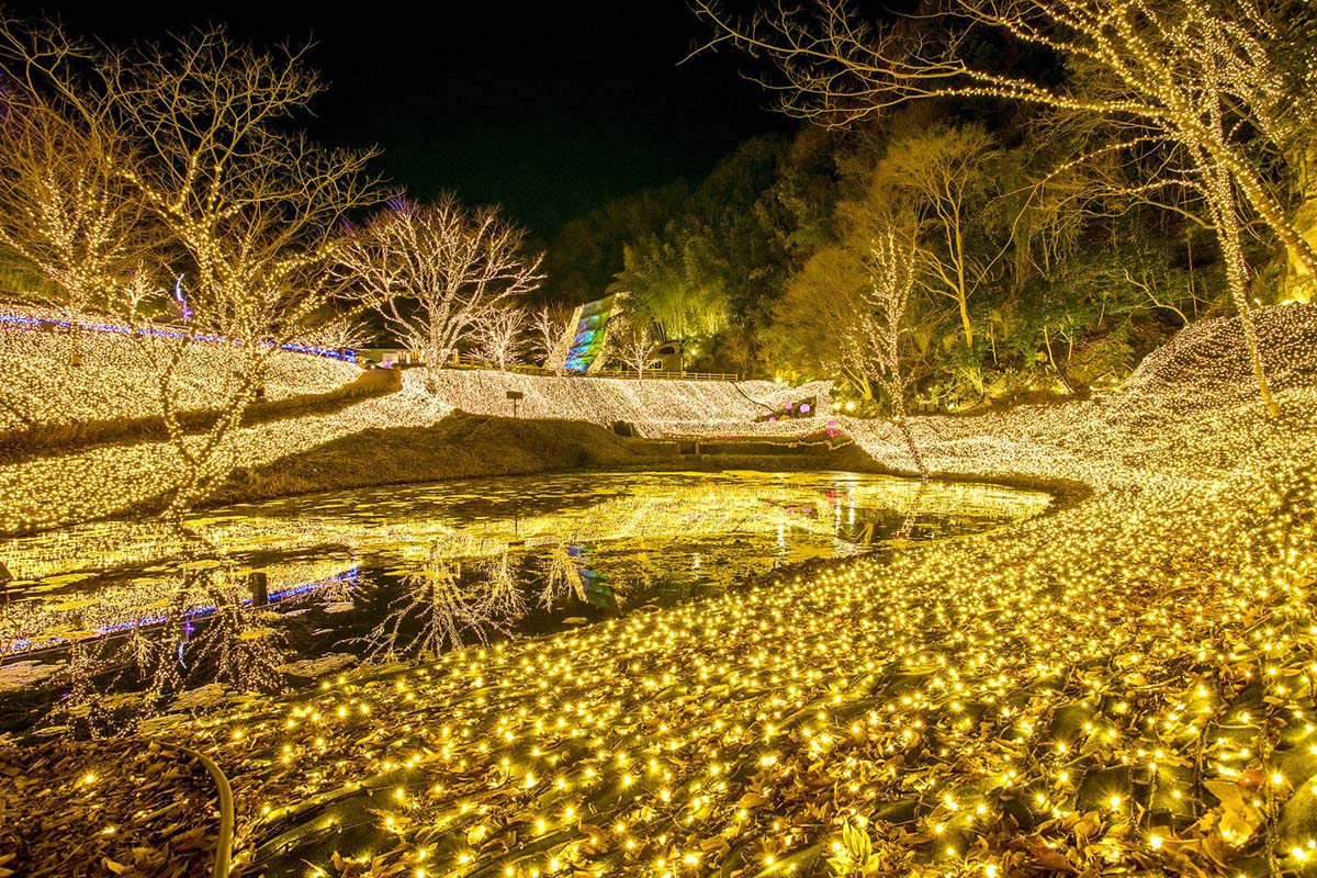 関西トップクラスの美しさ！「ネスタリゾート神戸」の大自然を埋め尽くすイルミに注目