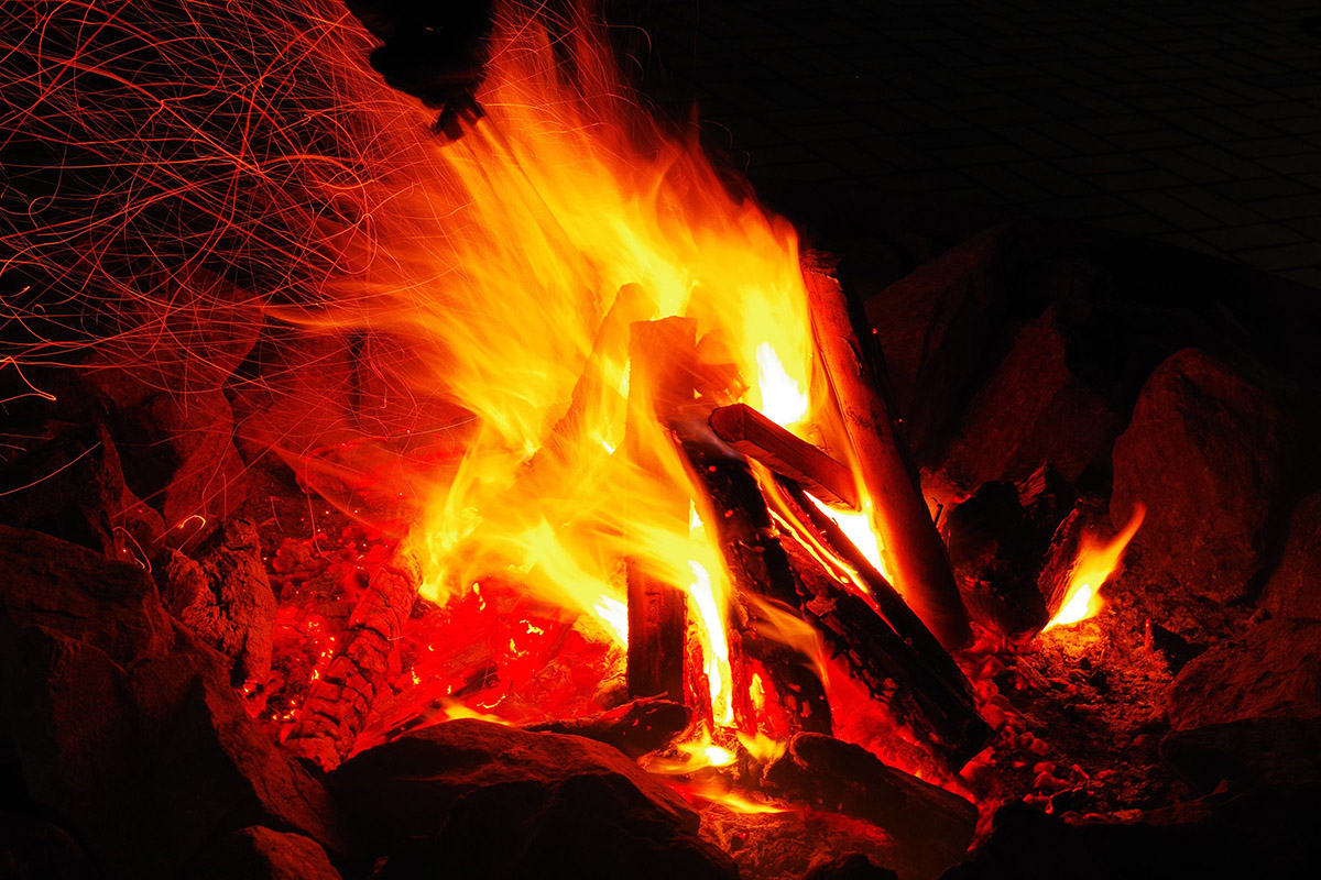 関西トップクラスの美しさ!「ネスタリゾート神戸」の大自然を埋め尽くすイルミに注目