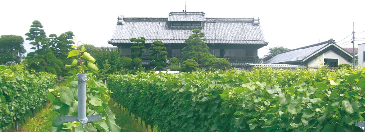 ※写真は夏に撮影したもの