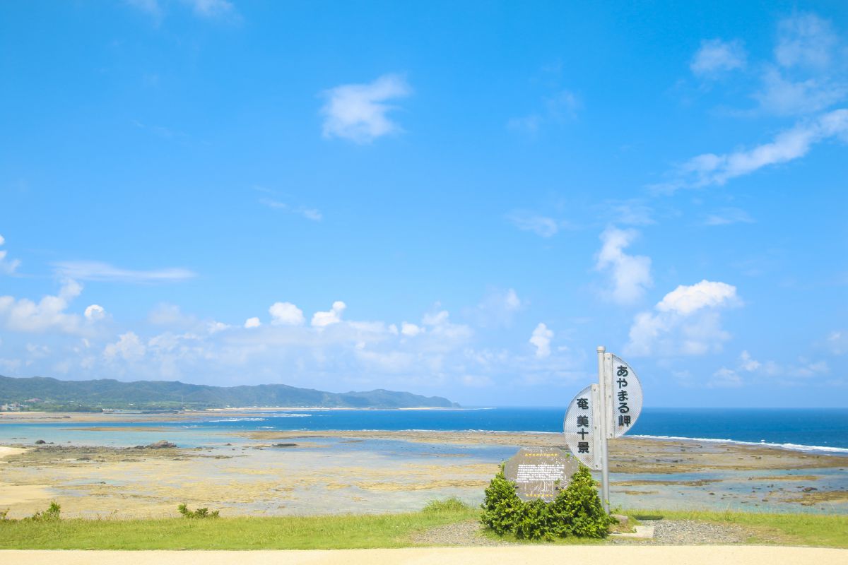 ああああああああ