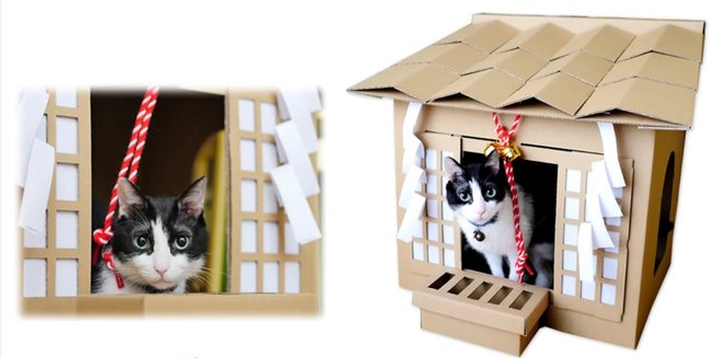 猫を愛する設計士が本気で作った「ダンボールネコ神社ハウス」
