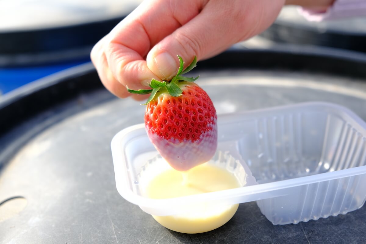 にこにこベリーを収穫。練乳は無料サービス