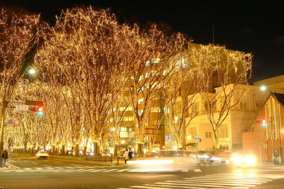 一斉に点灯される瞬間が一番のみどころ