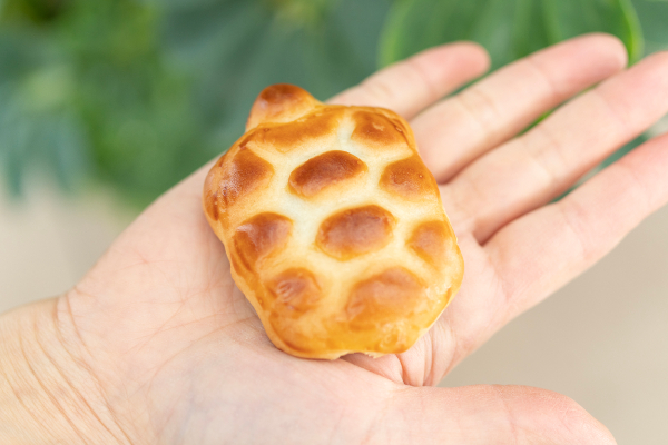 亀まんじゅう（小）108円