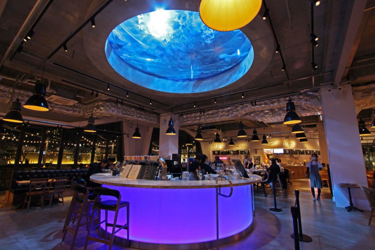 【徹底紹介】神戸最大級のフードホール「TOOTH TOOTH MART FOOD HALL&NIGHT FES(トゥース トゥース マート フードホールアンドナイト フェス)」に行ってきた!見上げると水槽⁉