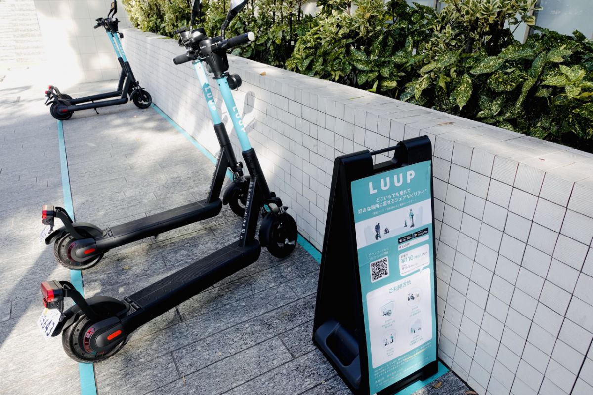 ポートの目印は、グリーンのライン（線）と看板