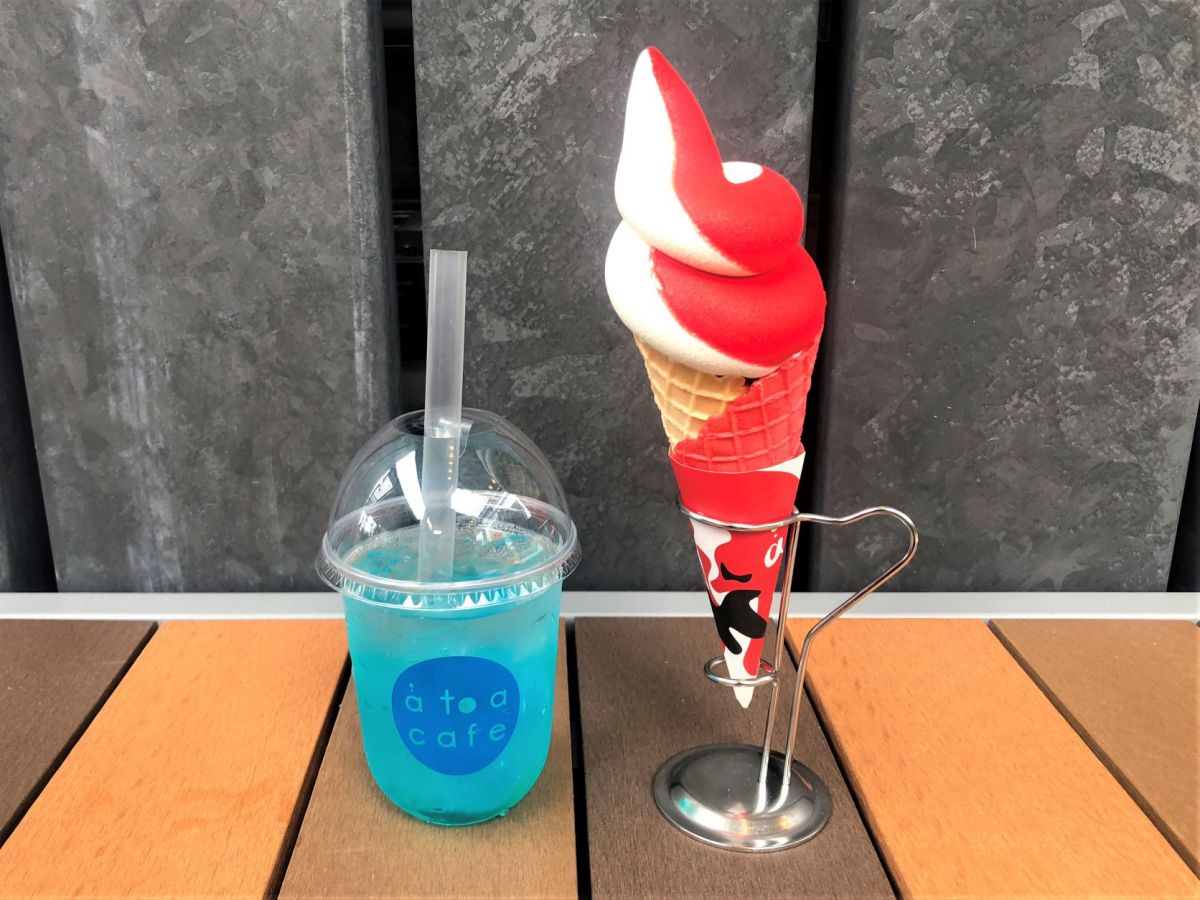 神戸にオープンした劇場型アクアリウム「átoa（アトア）」のカフェで癒されまくり！アートな水族館と合わせて徹底レポート！