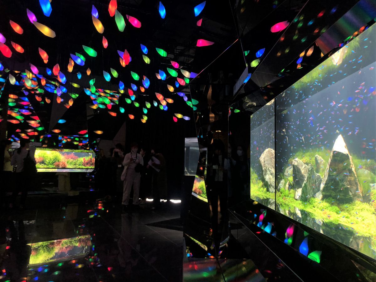 神戸にオープンした劇場型アクアリウム「átoa(アトア)」のカフェで癒されまくり!アートな水族館と合わせて徹底レポート!