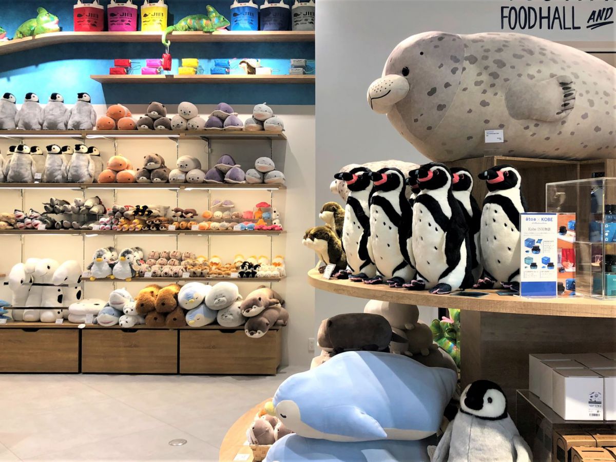 神戸にオープンした劇場型アクアリウム「átoa(アトア)」のカフェで癒されまくり!アートな水族館と合わせて徹底レポート!