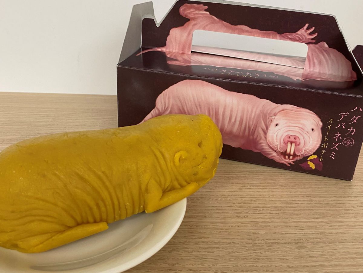 神戸にオープンした劇場型アクアリウム「átoa（アトア）」のカフェで癒されまくり！アートな水族館と合わせて徹底レポート！