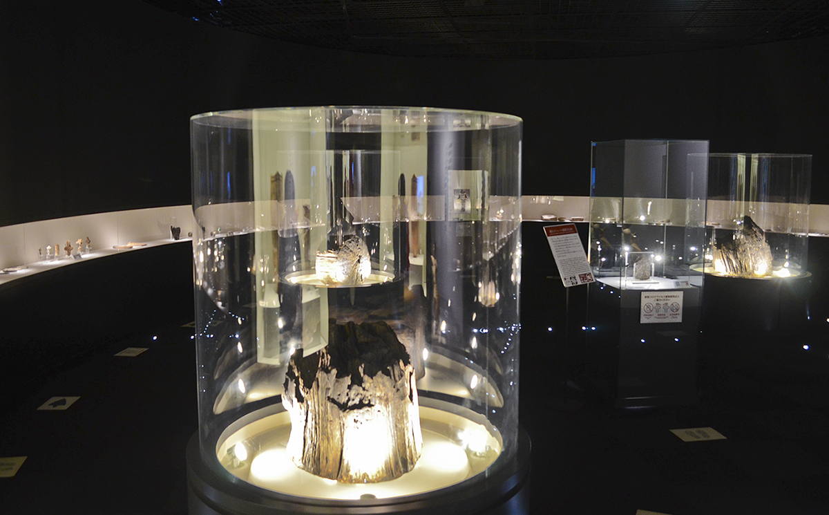 クリの大型木柱