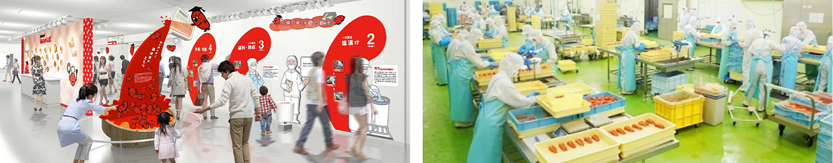 工場見学ギャラリー