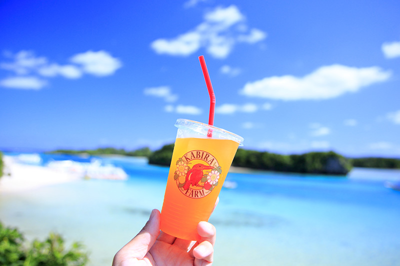 パッションフルーツジュース