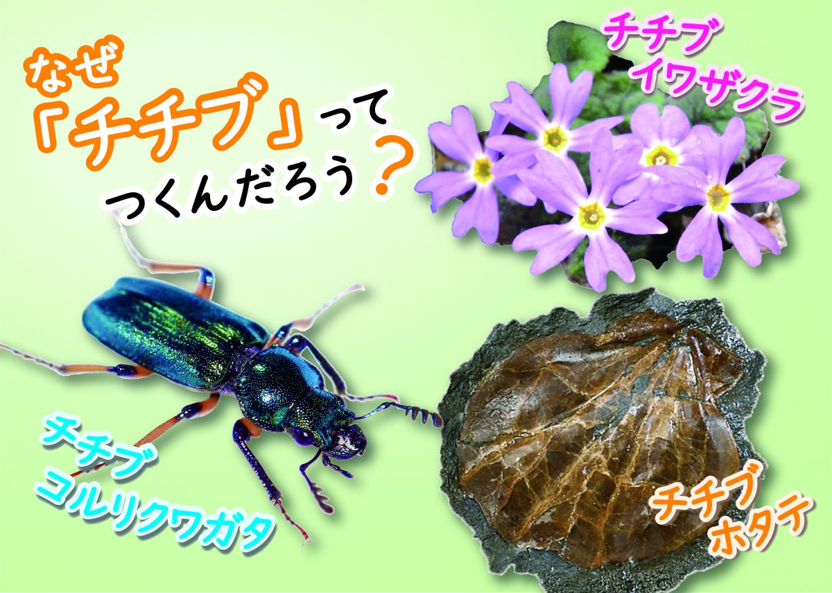 企画展「生きものの名前」2022年3月12日～6月19日