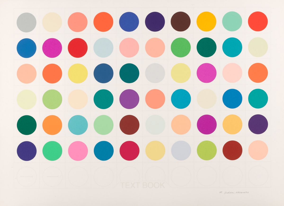 「感覚の領域　今、「経験する」ということ」2022年2月8日～5月22日