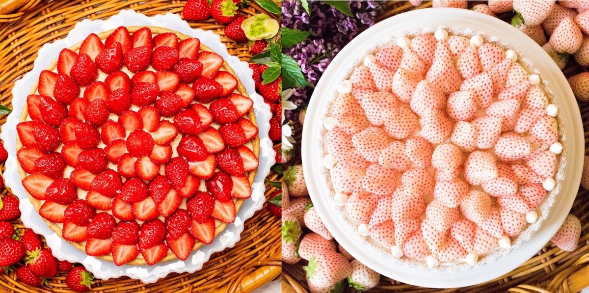 「キル フェ ボン」で約20種の厳選したイチゴタルトが登場する「2022 ストロベリーフェア」開催